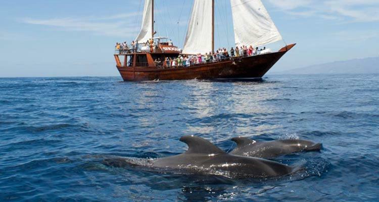Ocean House & Perfect For You Costa Adeje  Exteriör bild
