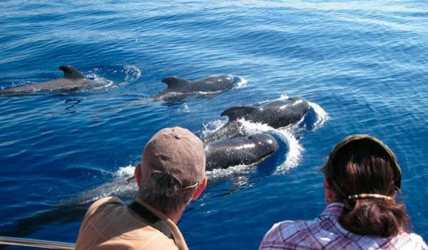 Ocean House & Perfect For You Costa Adeje  Exteriör bild
